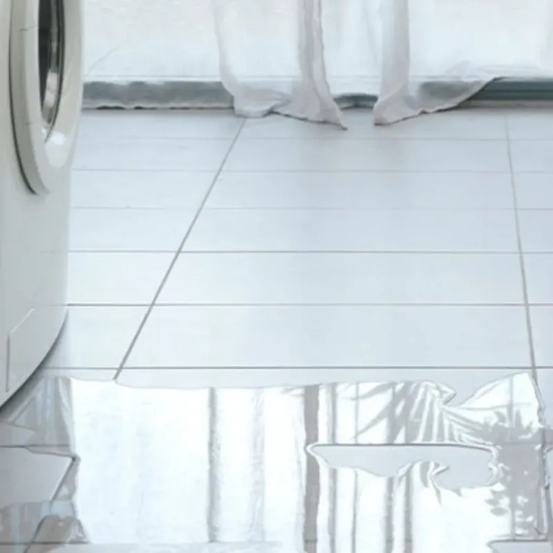 Appliance Leak Cleanup in Stanley, NC