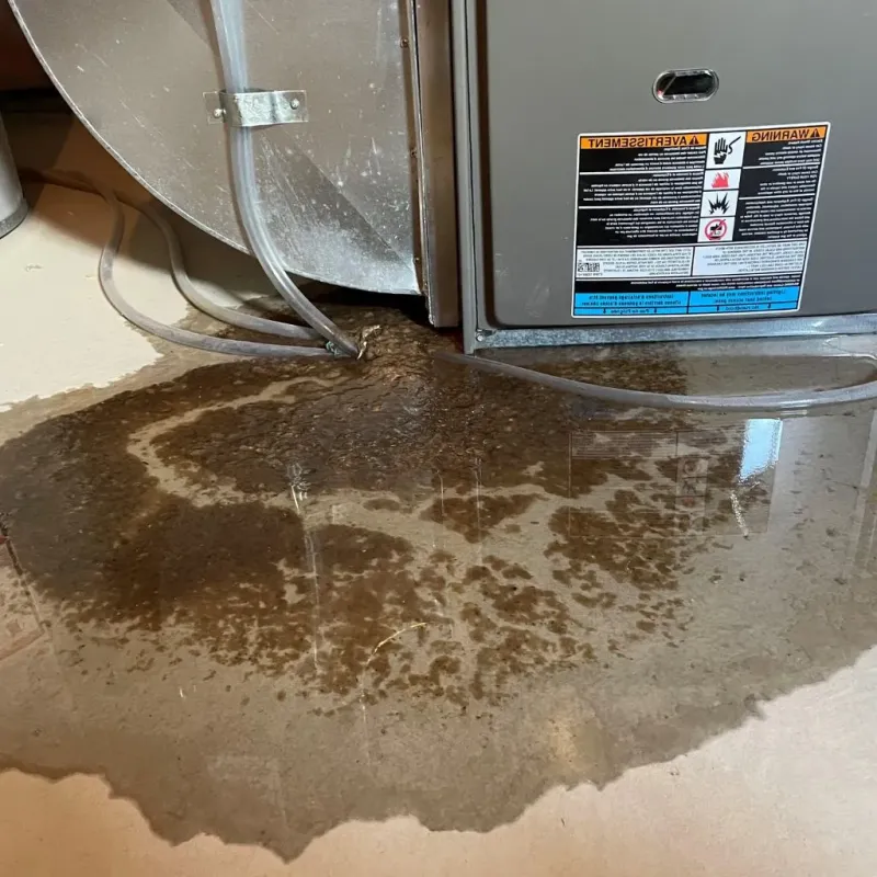 Pipe Burst and Leak Restoration in Stanley, NC