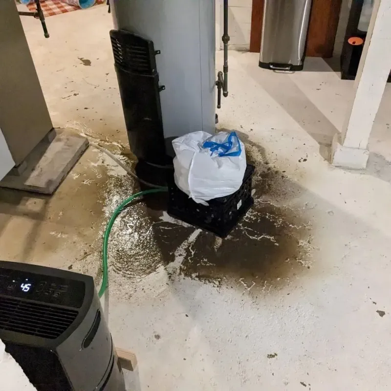 Sewage Backup Cleanup Service in Stanley, NC